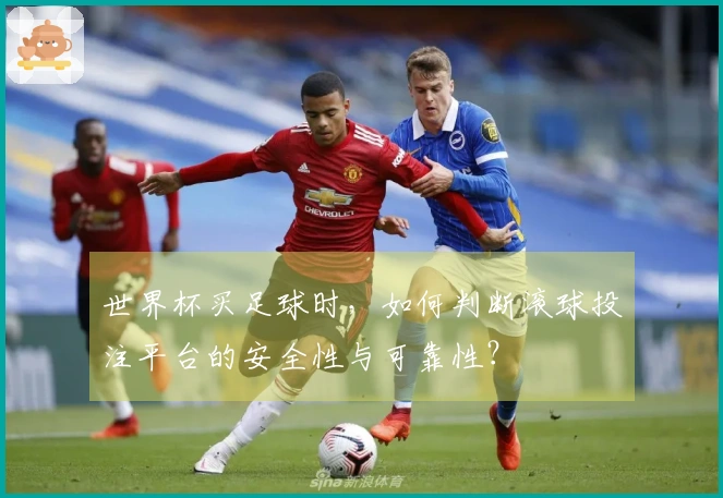 世界杯买足球时，如何判断滚球投注平台的安全性与可靠性？