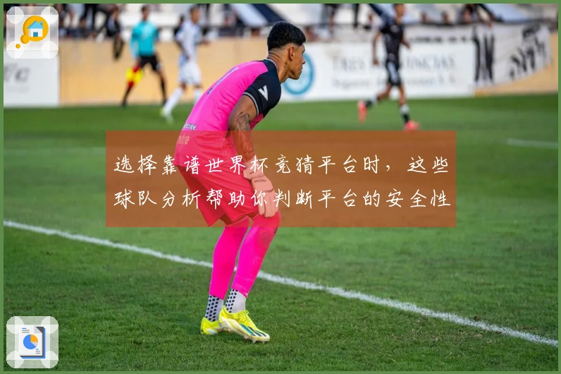 选择靠谱世界杯竞猜平台时，这些球队分析帮助你判断平台的安全性